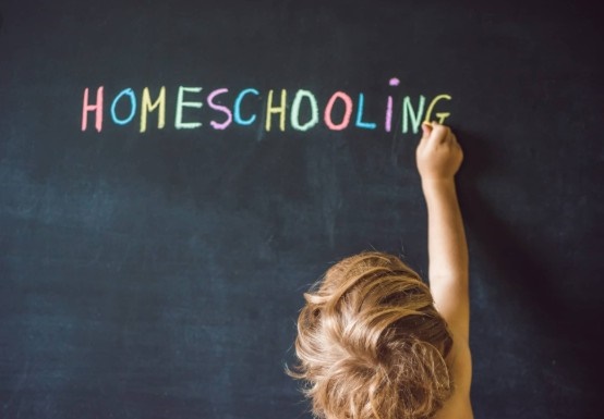 homeschool o educaci�n en casa